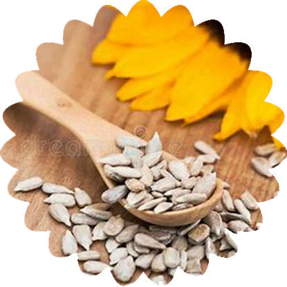 Sunflower-seeds